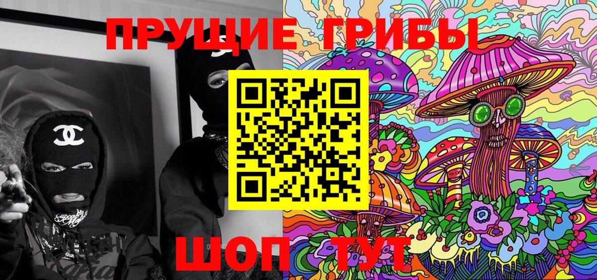 Куйбышев  Псилоцибиновые грибы Psilocybe  Вход с VPN  Псилоцибиновые грибы мицелий 